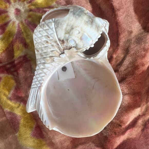 Antique Victorian Carved Shell Fish Bowl String Holder Basket Curio Salt Cellar - Picture 9 of 10